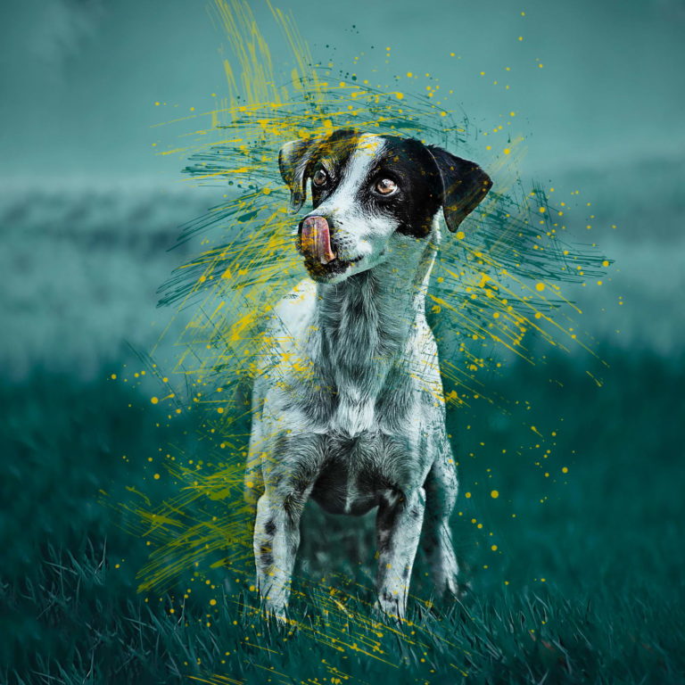 photoshop art